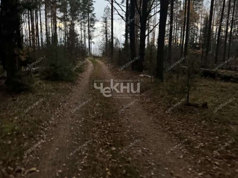 земельный участок 1 001 сотка Волжская деревня Кудрино